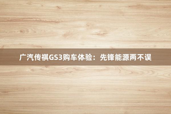 广汽传祺GS3购车体验：先锋能源两不误